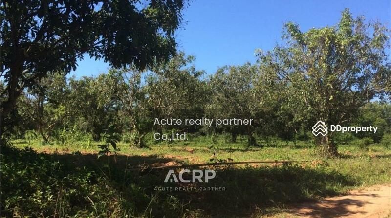 For Sale - Land for sale in a beautiful location, Rong Chik Subdistrict, Phu Ruea District, Loei Province, Loei