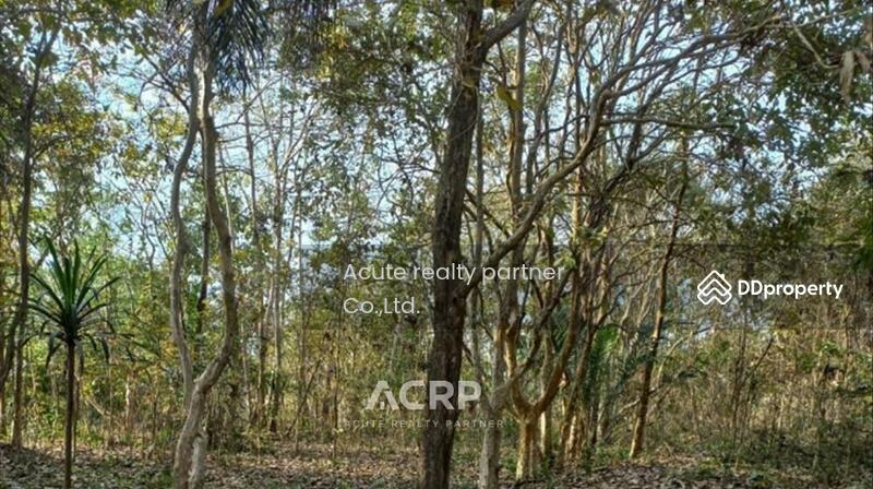 For Sale - Land for sale in a beautiful location, Rong Chik Subdistrict, Phu Ruea District, Loei Province, Loei