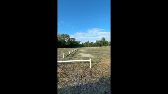 land for sale 254 Sq.wha, Rayong, Phla, Ban Chang, Rayong, , 988 sqm, Land For Sale, by คุณ เรณู, 11691612 - DDproperty.com