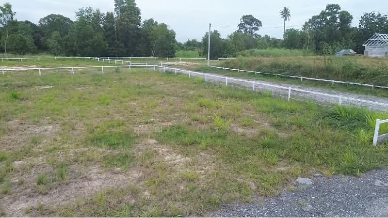 land for sale 254 Sq.wha, Rayong, Phla, Ban Chang, Rayong, , 988 sqm, Land For Sale, by คุณ เรณู, 11691612 - DDproperty.com