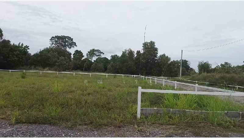 land for sale 254 Sq.wha, Rayong, Phla, Ban Chang, Rayong, , 988 sqm, Land For Sale, by คุณ เรณู, 11691612 - DDproperty.com