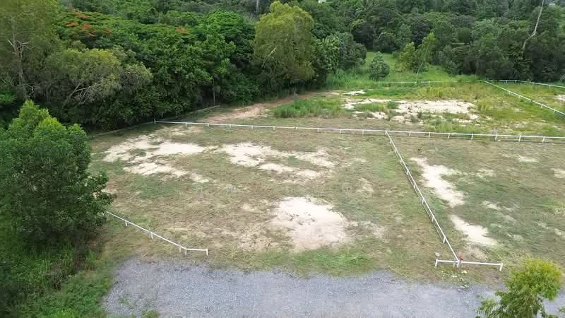 land for sale 254 Sq.wha, Rayong, Phla, Ban Chang, Rayong, , 988 sqm, Land For Sale, by คุณ เรณู, 11691612 - DDproperty.com
