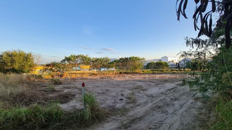 For sale: purple land with a beautiful square pattern, 1 rai, 40 meters wide,, Rayong, Makhamku, Nikhom Pattana, Rayong, , 1,600 sqm, Land For Sale, by RICHWELL INTERPLUS, 11692083 - DDproperty.com