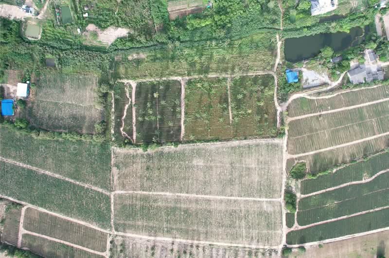 Purple land for sale, 4 rai, Huai Prab - Map Yang Phon, suitable for building a dormitory,, Rayong, Mapyangphon, Pluak Daeng, Rayong, , 6,912 sqm, Land For Sale, by RICHWELL INTERPLUS, 11692126 - DDproperty.com