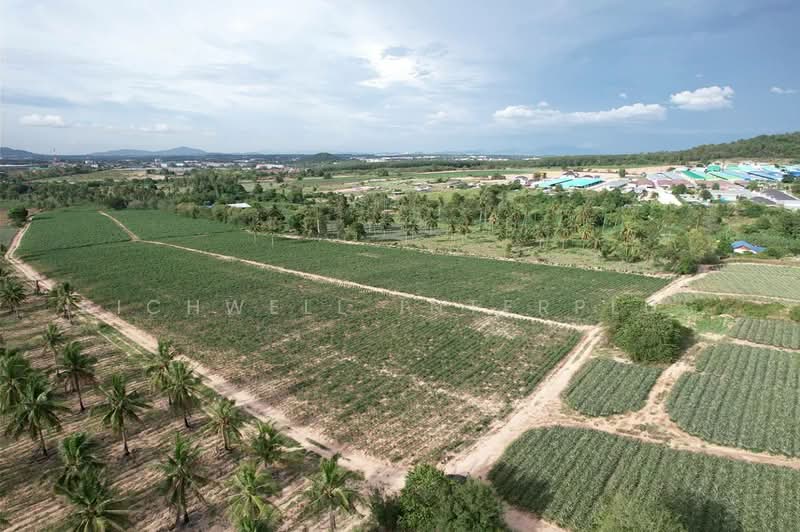 Purple land for sale, 4 rai, Huai Prab - Map Yang Phon, suitable for building a dormitory,, Rayong, Mapyangphon, Pluak Daeng, Rayong, , 6,912 sqm, Land For Sale, by RICHWELL INTERPLUS, 11692126 - DDproperty.com