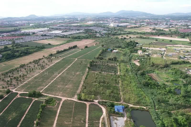 Purple land for sale, 4 rai, Huai Prab - Map Yang Phon, suitable for building a dormitory,, Rayong, Mapyangphon, Pluak Daeng, Rayong, , 6,912 sqm, Land For Sale, by RICHWELL INTERPLUS, 11692126 - DDproperty.com