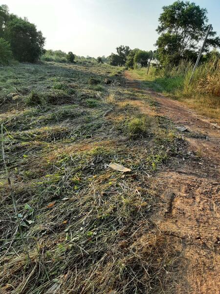 Land for sale, cash or installment, in Koh Khanun, starting from 200 sq.wa. Near the fresh market, Chachoengsao, Ko Khanun, Phanom Sarakham, Chachoengsao, , 800 sqm, Land For Sale, by RICHWELL INTERPLUS, 11692535 - DDproperty.com