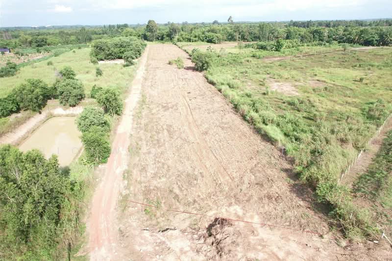 Land for sale, cash or installment, in Koh Khanun, starting from 200 sq.wa. Near the fresh market, Chachoengsao, Ko Khanun, Phanom Sarakham, Chachoengsao, , 800 sqm, Land For Sale, by RICHWELL INTERPLUS, 11692535 - DDproperty.com