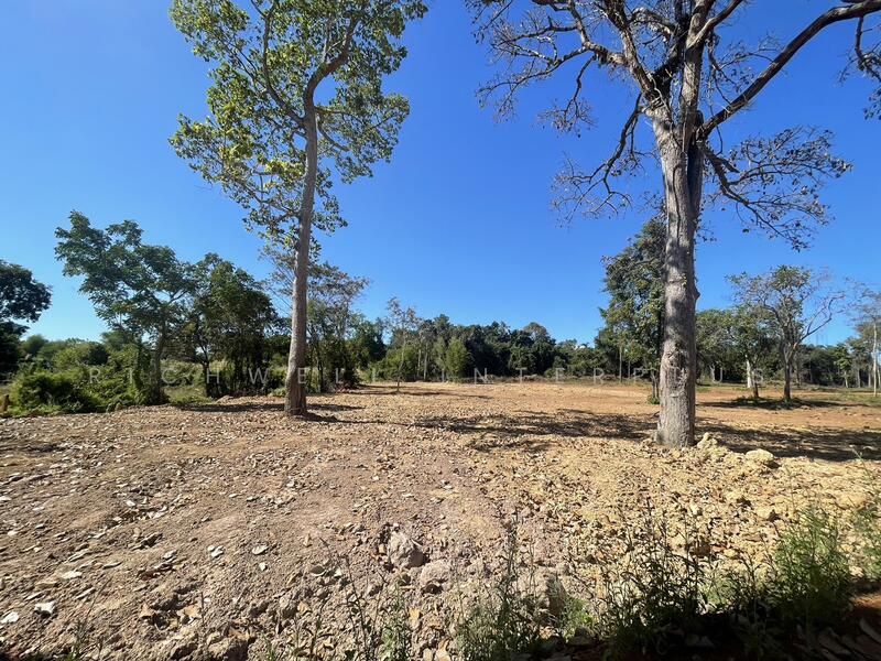 Land for sale in Dong Bang, Prachantakham. Cash or installment payments available., Prachin Buri, Dong Bang, Prachantakham, Prachin Buri, , 1,600 sqm, Land For Sale, by RICHWELL INTERPLUS, 11692572 - DDproperty.com