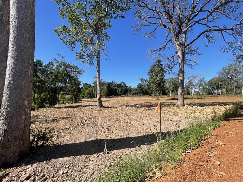 Land for sale in Dong Bang, Prachantakham. Cash or installment payments available., Prachin Buri, Dong Bang, Prachantakham, Prachin Buri, , 1,600 sqm, Land For Sale, by RICHWELL INTERPLUS, 11692572 - DDproperty.com