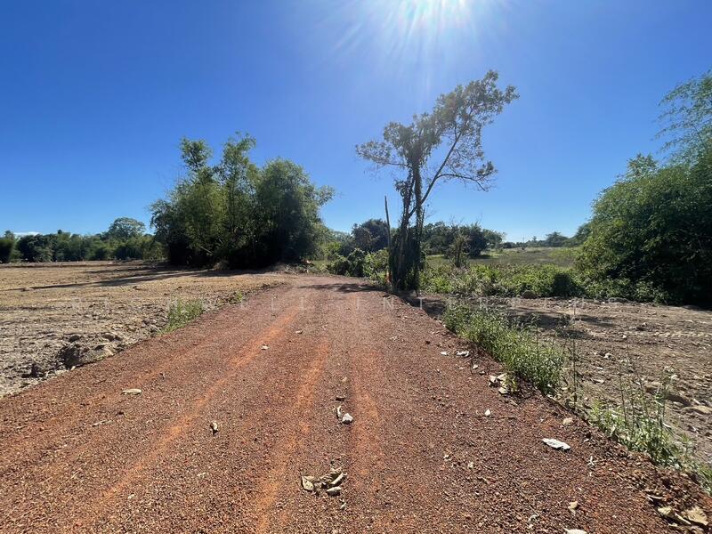 Land for sale in Dong Bang, Prachantakham. Cash or installment payments available., Prachin Buri, Dong Bang, Prachantakham, Prachin Buri, , 1,600 sqm, Land For Sale, by RICHWELL INTERPLUS, 11692572 - DDproperty.com