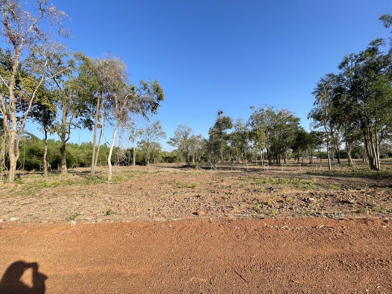 ขายที่ดินดงบัง ประจันตคาม สด/ผ่อน เริ่มต้น 1 ไร่ เริ่มต้นไร่ละ450,000บาท, ปราจีนบุรี, ดงบัง, ประจันตคาม, ปราจีนบุรี, 1,600 ตร.ม., ที่ดิน ขาย, โดย RICHWELL INTERPLUS, 11692622 - DDproperty.com