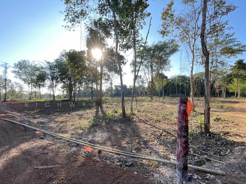 ขายที่ดินดงบัง ประจันตคาม สด/ผ่อน เริ่มต้น 1 ไร่ เริ่มต้นไร่ละ450,000บาท, ปราจีนบุรี, ดงบัง, ประจันตคาม, ปราจีนบุรี, 1,600 ตร.ม., ที่ดิน ขาย, โดย RICHWELL INTERPLUS, 11692622 - DDproperty.com