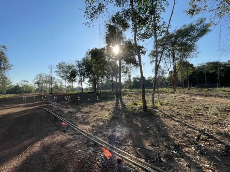Open for reservation of land for cash/installment at the cheapest price. No interest., Prachin Buri, Dong Bang, Prachantakham, Prachin Buri, , 4,800 sqm, Land For Sale, by RICHWELL INTERPLUS, 11692768 - DDproperty.com