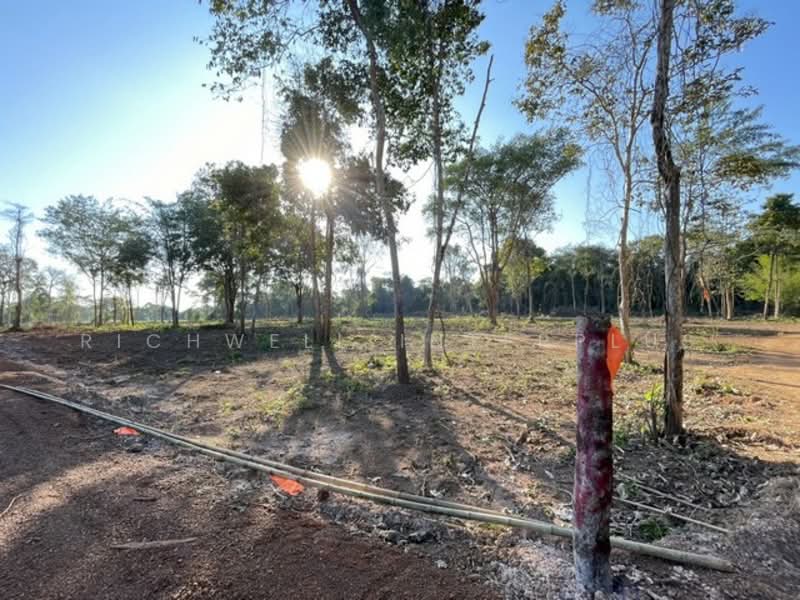 Open for reservation of land for cash/installment at the cheapest price. No interest., Prachin Buri, Dong Bang, Prachantakham, Prachin Buri, , 4,800 sqm, Land For Sale, by RICHWELL INTERPLUS, 11692768 - DDproperty.com