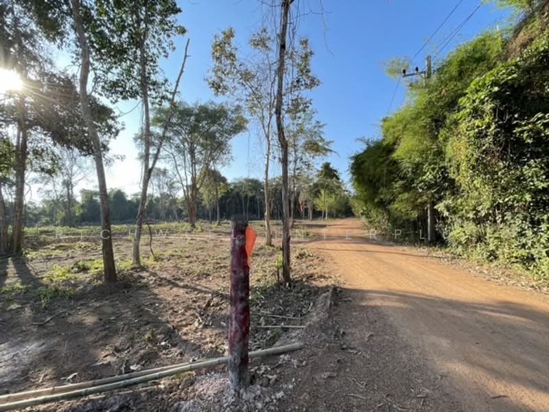 Open for reservation of land for cash/installment at the cheapest price. No interest., Prachin Buri, Dong Bang, Prachantakham, Prachin Buri, , 4,800 sqm, Land For Sale, by RICHWELL INTERPLUS, 11692768 - DDproperty.com