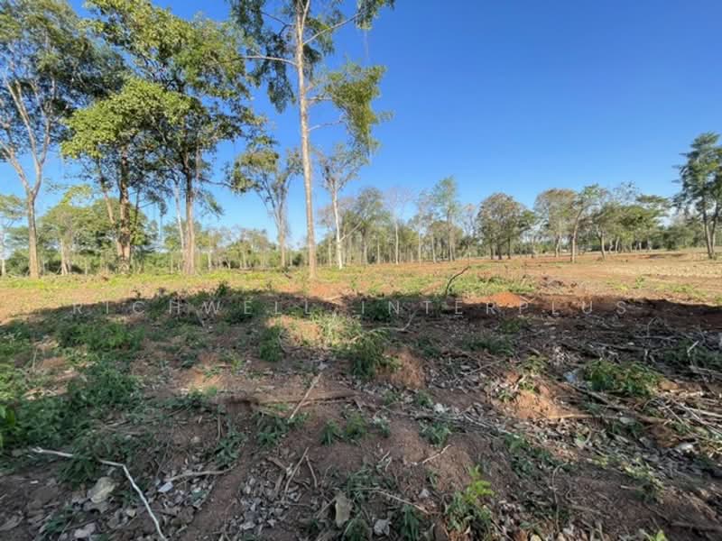 Open for reservation of land for cash/installment at the cheapest price. No interest., Prachin Buri, Dong Bang, Prachantakham, Prachin Buri, , 4,800 sqm, Land For Sale, by RICHWELL INTERPLUS, 11692768 - DDproperty.com