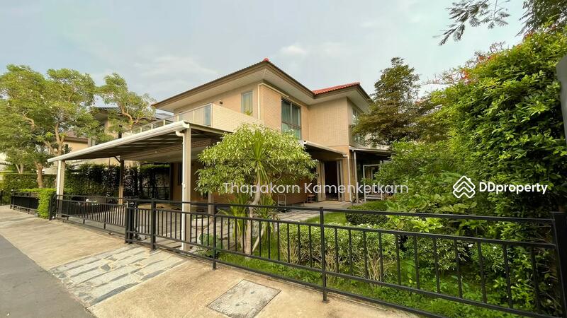 For Sale - Siamese Kin Ramintra, Bangkok
