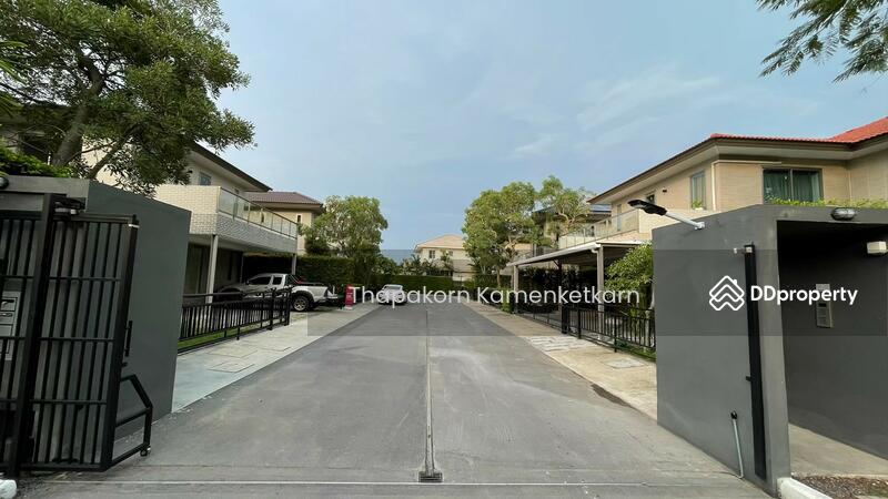 For Sale - Siamese Kin Ramintra, Bangkok