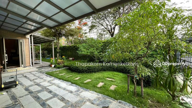 For Sale - Siamese Kin Ramintra, Bangkok