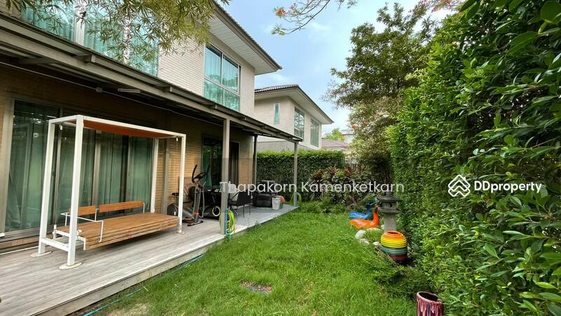 For Sale - Siamese Kin Ramintra, Bangkok