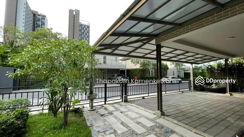 For Sale - Siamese Kin Ramintra, Bangkok