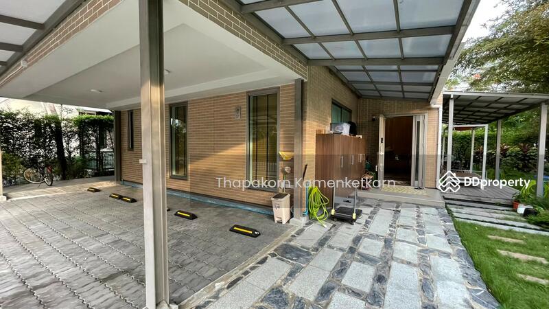 For Sale - Siamese Kin Ramintra, Bangkok