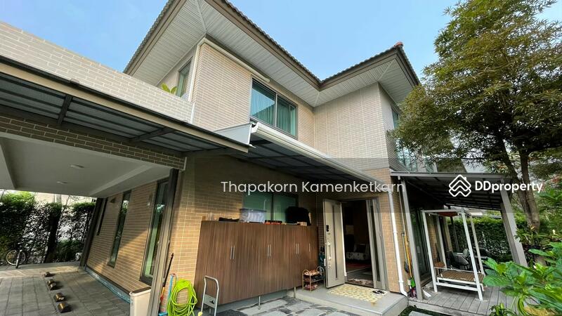 For Sale - Siamese Kin Ramintra, Bangkok