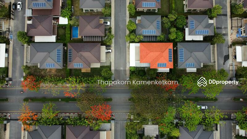 For Sale - Siamese Kin Ramintra, Bangkok