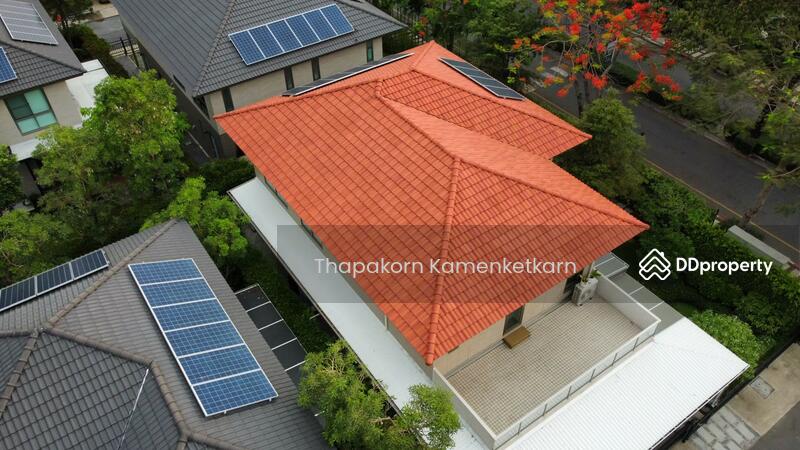 For Sale - Siamese Kin Ramintra, Bangkok
