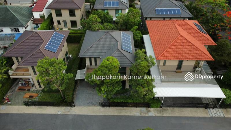 For Sale - Siamese Kin Ramintra, Bangkok