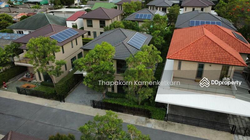 For Sale - Siamese Kin Ramintra, Bangkok