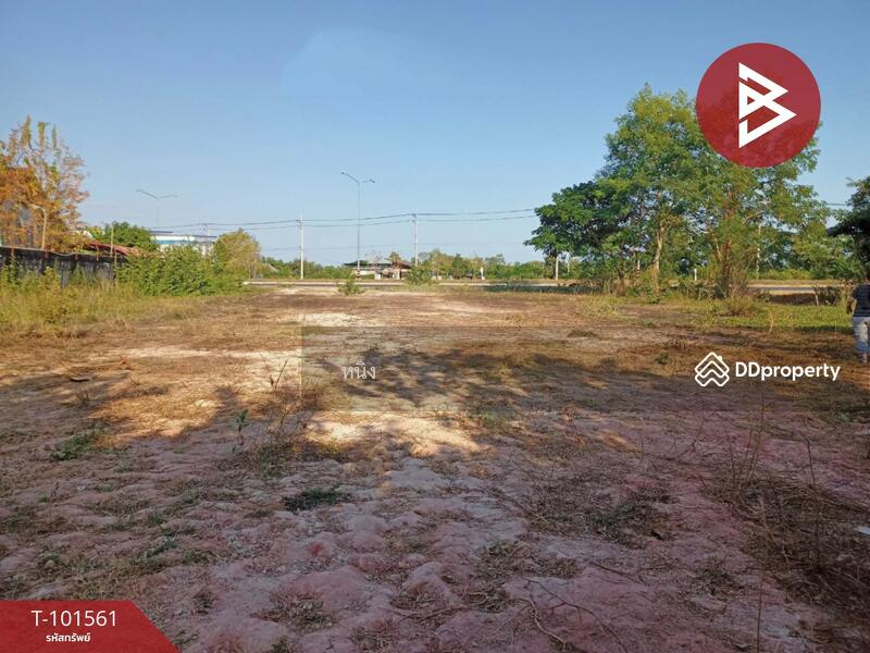 ขาย - ที่ดินโพธิ์ชัย หนองคาย, หนองคาย