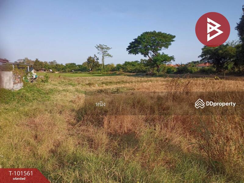 ขาย - ที่ดินโพธิ์ชัย หนองคาย, หนองคาย