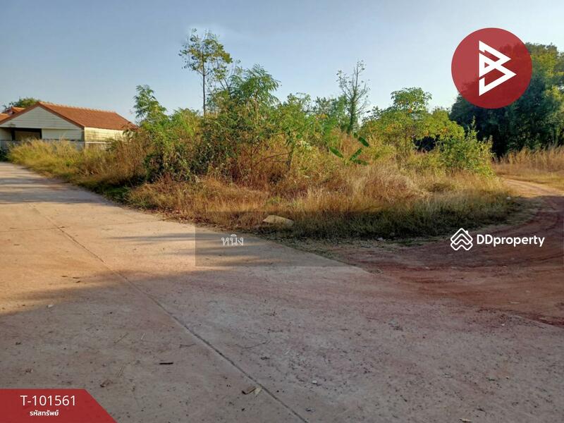 ขาย - ที่ดินโพธิ์ชัย หนองคาย, หนองคาย