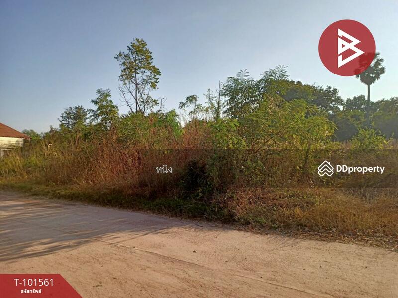 ขาย - ที่ดินโพธิ์ชัย หนองคาย, หนองคาย