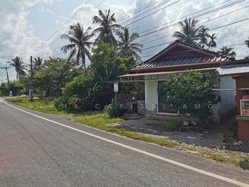 ขาย - ที่ดินพร้อมสิ่งปลูกสร้าง L4_5_0472_G01, ปัตตานี