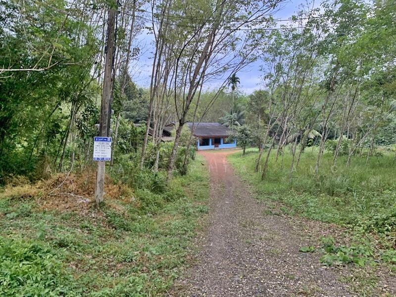 For Sale - ที่ดินพร้อมสิ่งปลูกสร้าง L4_1_0644_G01, Trang