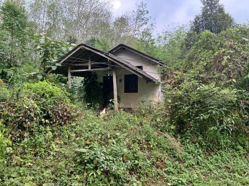 ขาย - ที่ดินพร้อมสิ่งปลูกสร้าง L4_1_0644_G01, ตรัง