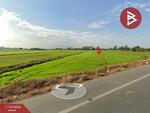 ที่ดินบางหลวง ปทุมธานี, ปทุมธานี