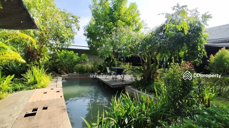 For Sale - Beautiful House for Sale: 7-2-02 Rai (12,008 sq.m.) with Mountain and Field Views, Phayao Province, Phayao