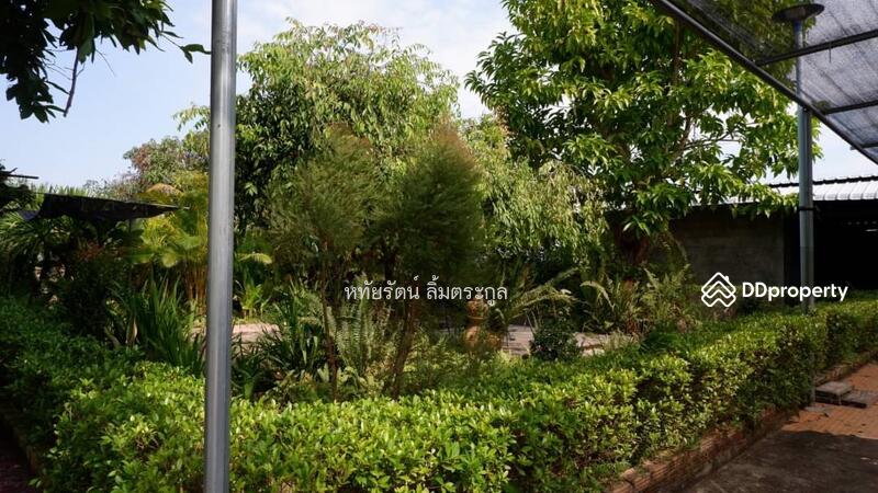 For Sale - Beautiful House for Sale: 7-2-02 Rai (12,008 sq.m.) with Mountain and Field Views, Phayao Province, Phayao