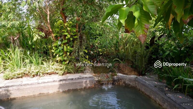 For Sale - Beautiful House for Sale: 7-2-02 Rai (12,008 sq.m.) with Mountain and Field Views, Phayao Province, Phayao