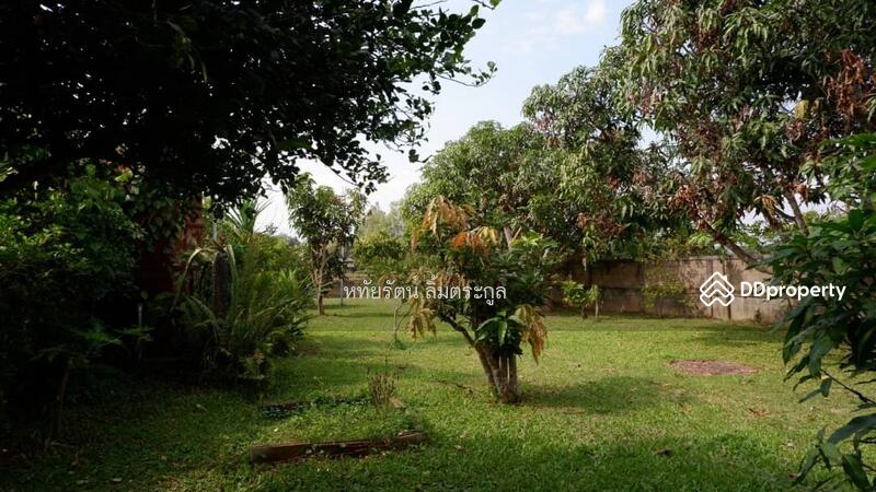 For Sale - Beautiful House for Sale: 7-2-02 Rai (12,008 sq.m.) with Mountain and Field Views, Phayao Province, Phayao
