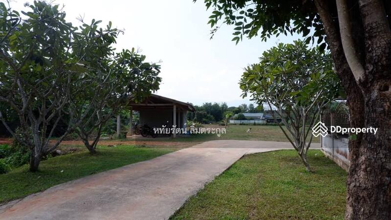 For Sale - Beautiful House for Sale: 7-2-02 Rai (12,008 sq.m.) with Mountain and Field Views, Phayao Province, Phayao
