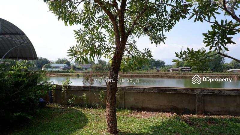 For Sale - Beautiful House for Sale: 7-2-02 Rai (12,008 sq.m.) with Mountain and Field Views, Phayao Province, Phayao
