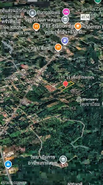 ขาย - ขายที่ดินเปล่า 11-1-81.7 ไร่ เกาะสมุย สุราษฏร์ธานี, สุราษฎร์ธานี
