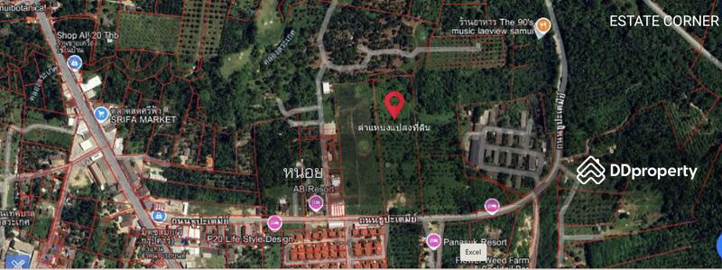 ขาย - ขายที่ดินเปล่า 11-1-81.7 ไร่ เกาะสมุย สุราษฏร์ธานี, สุราษฎร์ธานี