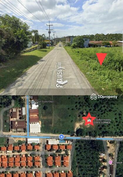 ขาย - ขายที่ดินเปล่า 11-1-81.7 ไร่ เกาะสมุย สุราษฏร์ธานี, สุราษฎร์ธานี