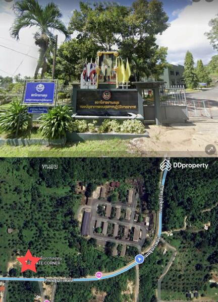ขาย - ขายที่ดินเปล่า 11-1-81.7 ไร่ เกาะสมุย สุราษฏร์ธานี, สุราษฎร์ธานี